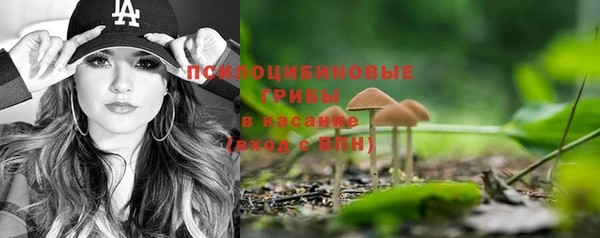гидропоника Абинск