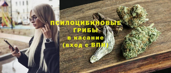 прущие грибы Алзамай