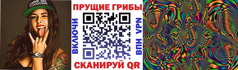 Псилоцибиновые грибы Cubensis  ссылка на мегу рабочий сайт  Иваново 